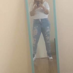 Meet your Posher, Luna